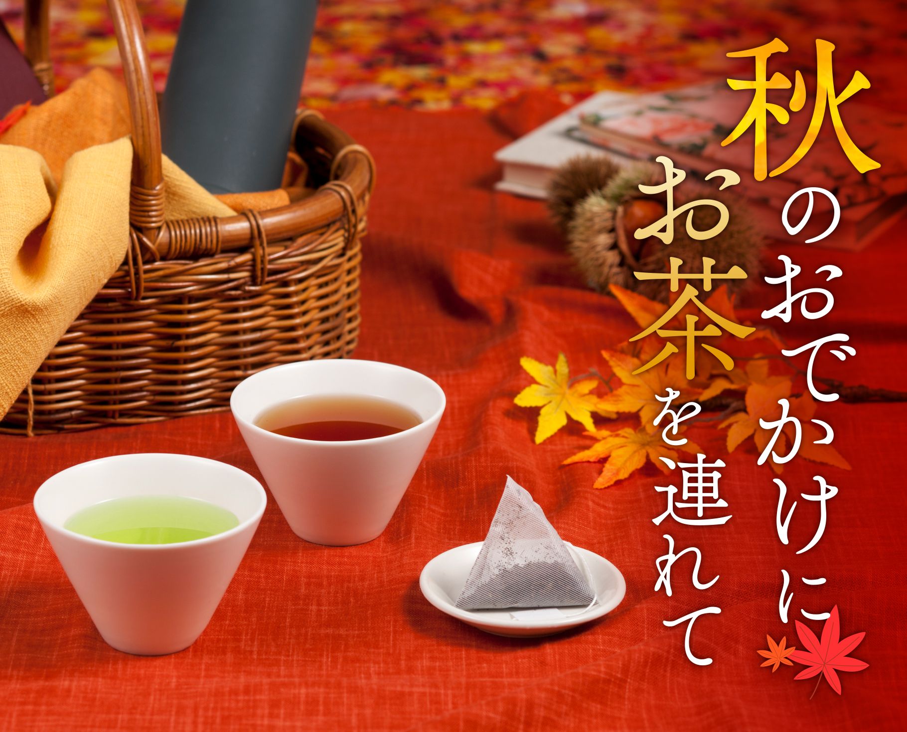 アウトドア・行楽に