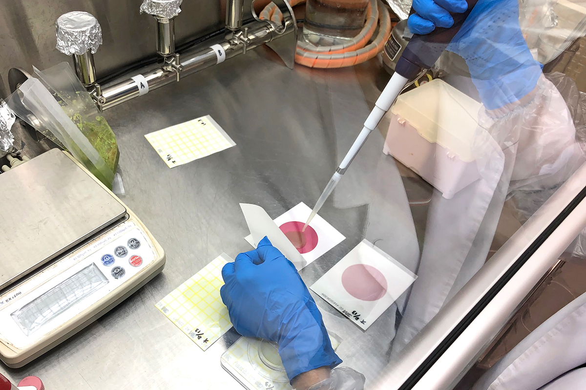 微生物検査
